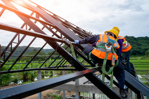 Best Roof Gutter Cleaning  in Farmersville, TX