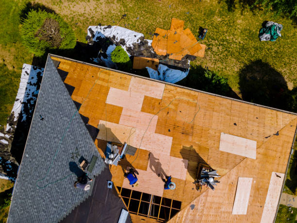 Best Storm Damage Roof Repair  in Farmersville, TX