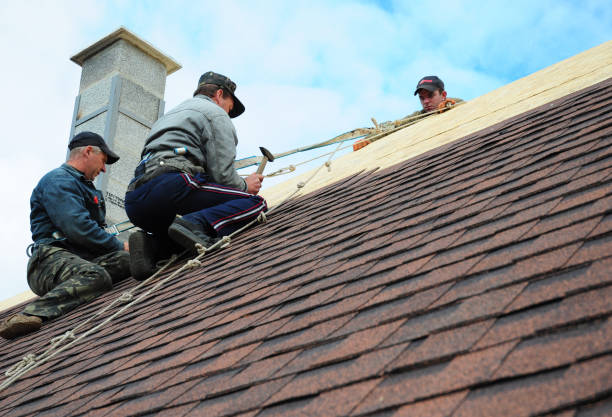 Professional Roofing Contractor in Farmersville, TX